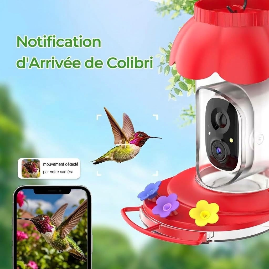 CaresBird