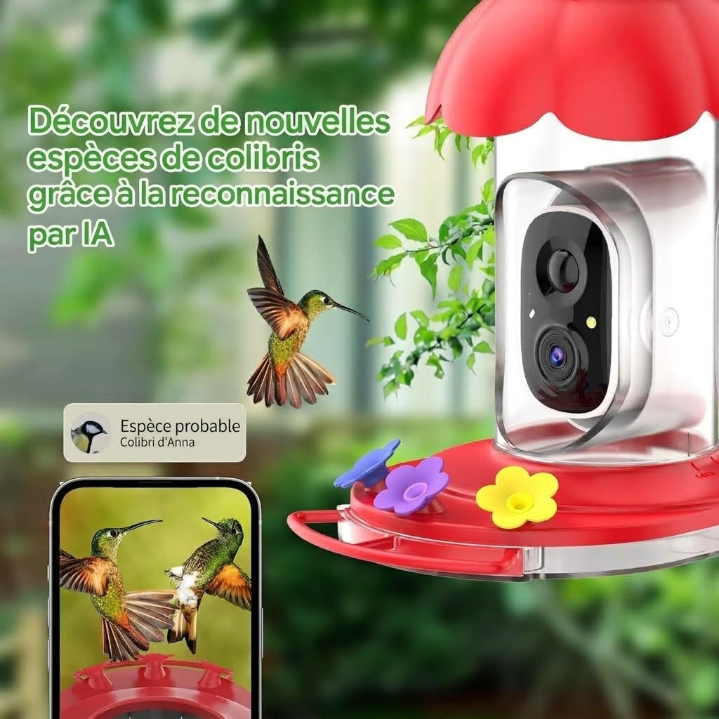 CaresBird