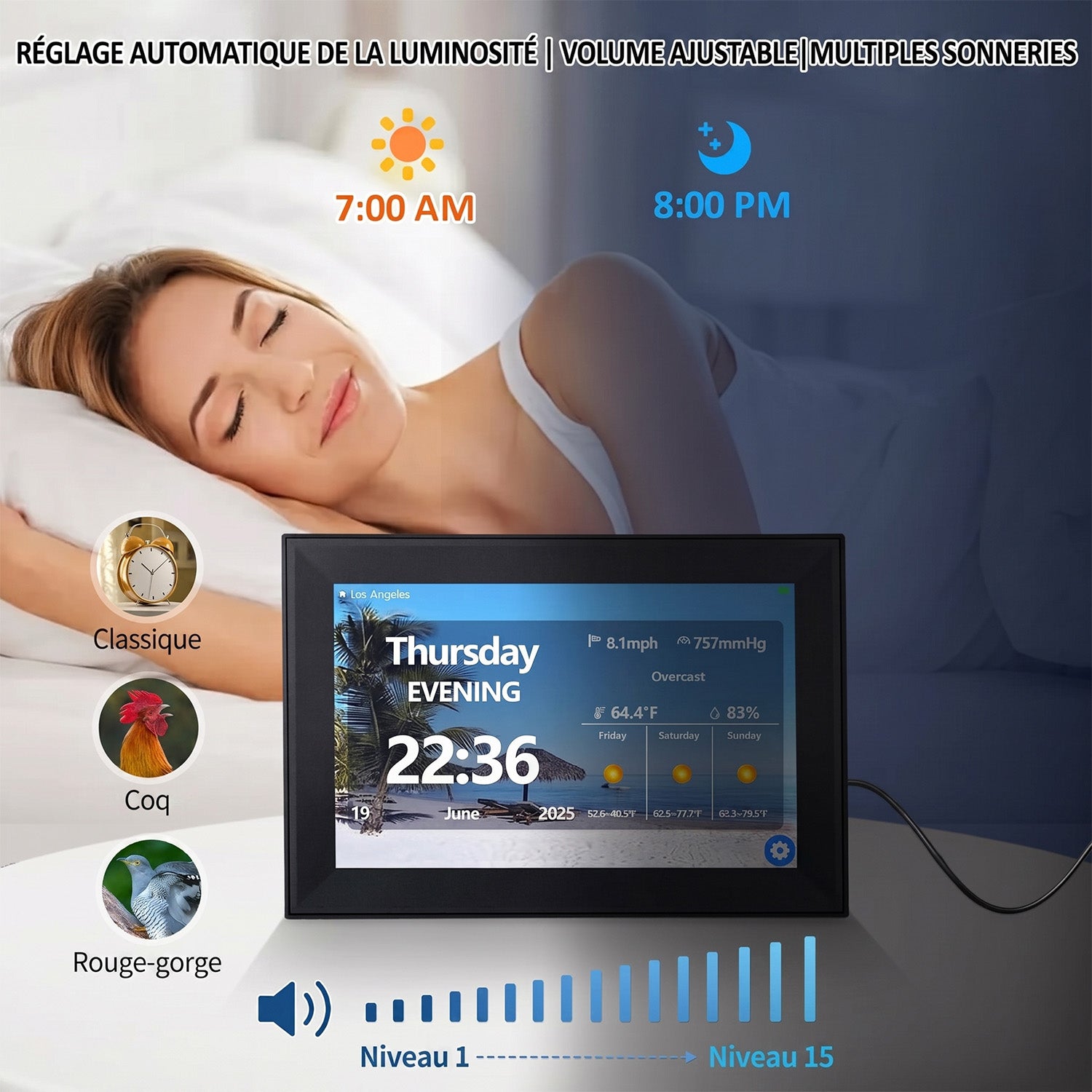 DageCres Horloge Calendrier Tactile WiFi 10.1 Pouces
