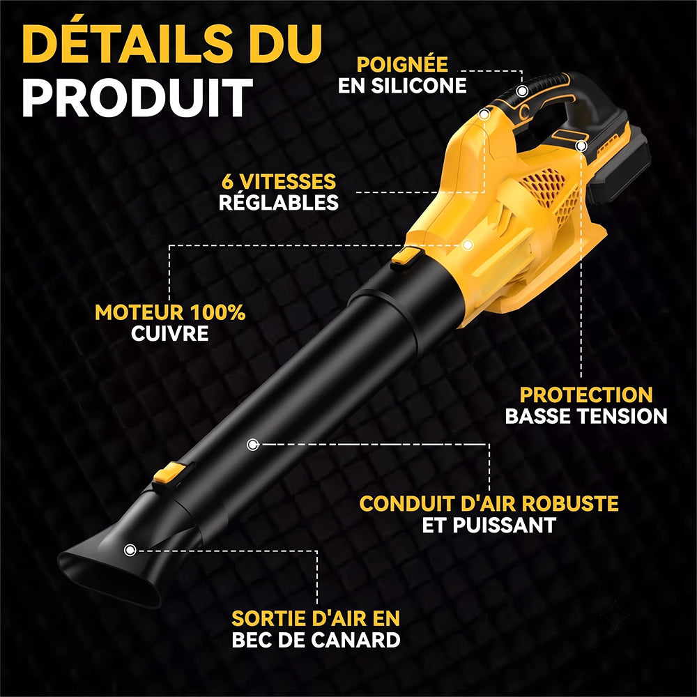 EltriXali Souffleur À Feuilles Sans Fil Puissant