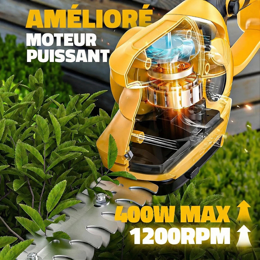 FluosSal