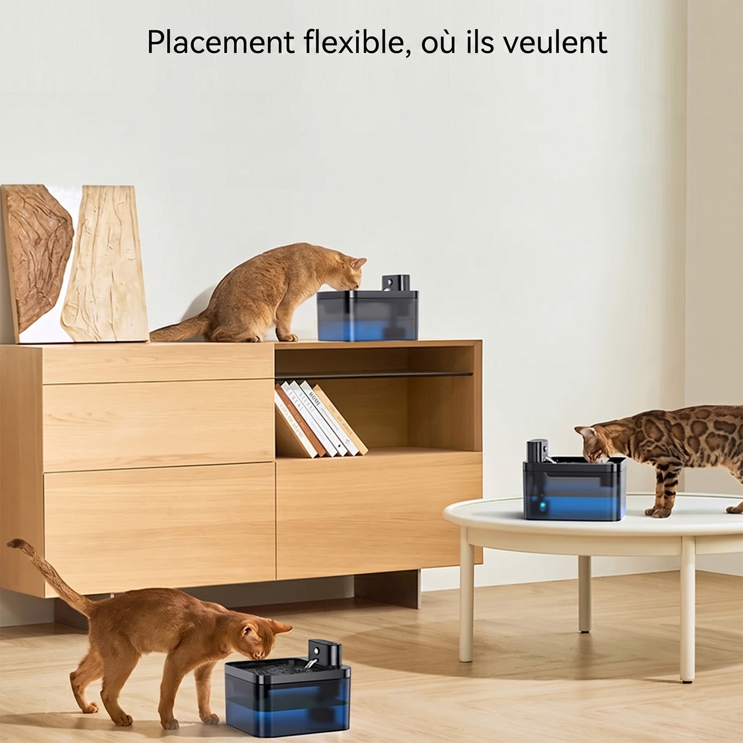 FotivCat Fontaine à Eau Sans Fil Pour Chat 2.2L Silencieuse