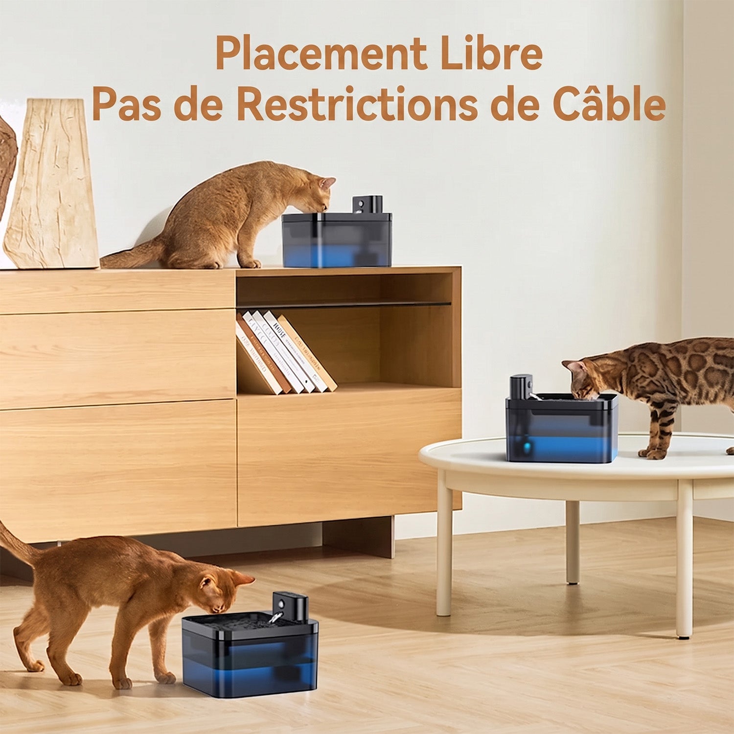 FotivCat Fontaine à Eau Sans Fil Pour Chat 2.2L Silencieuse