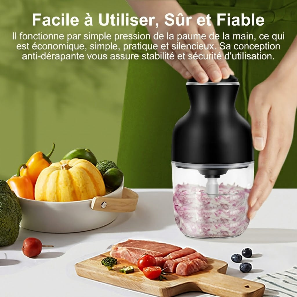 MeaviMax Hachoir à Viande Électrique 350W 600ml