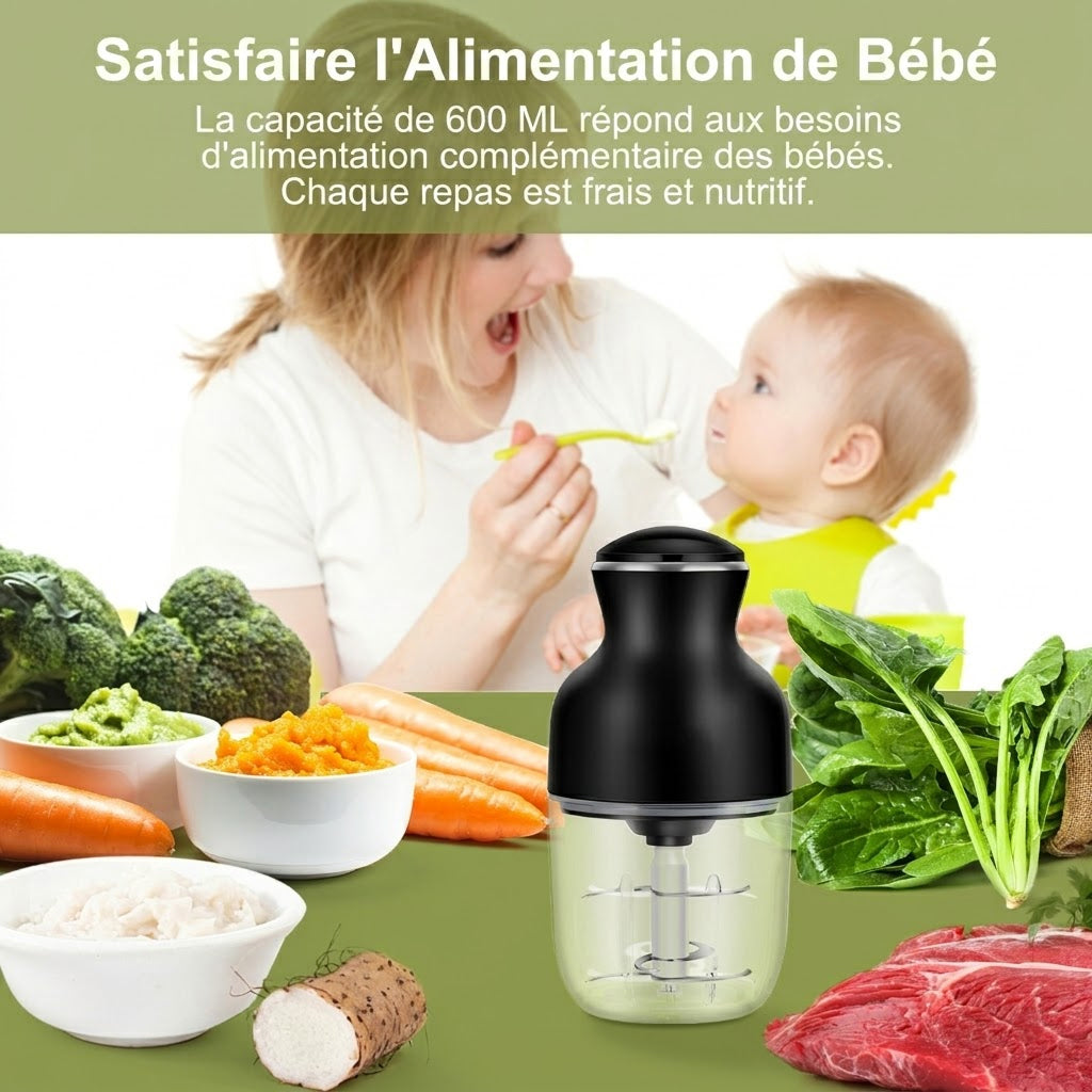 MeaviMax Hachoir à Viande Électrique 350W 600ml