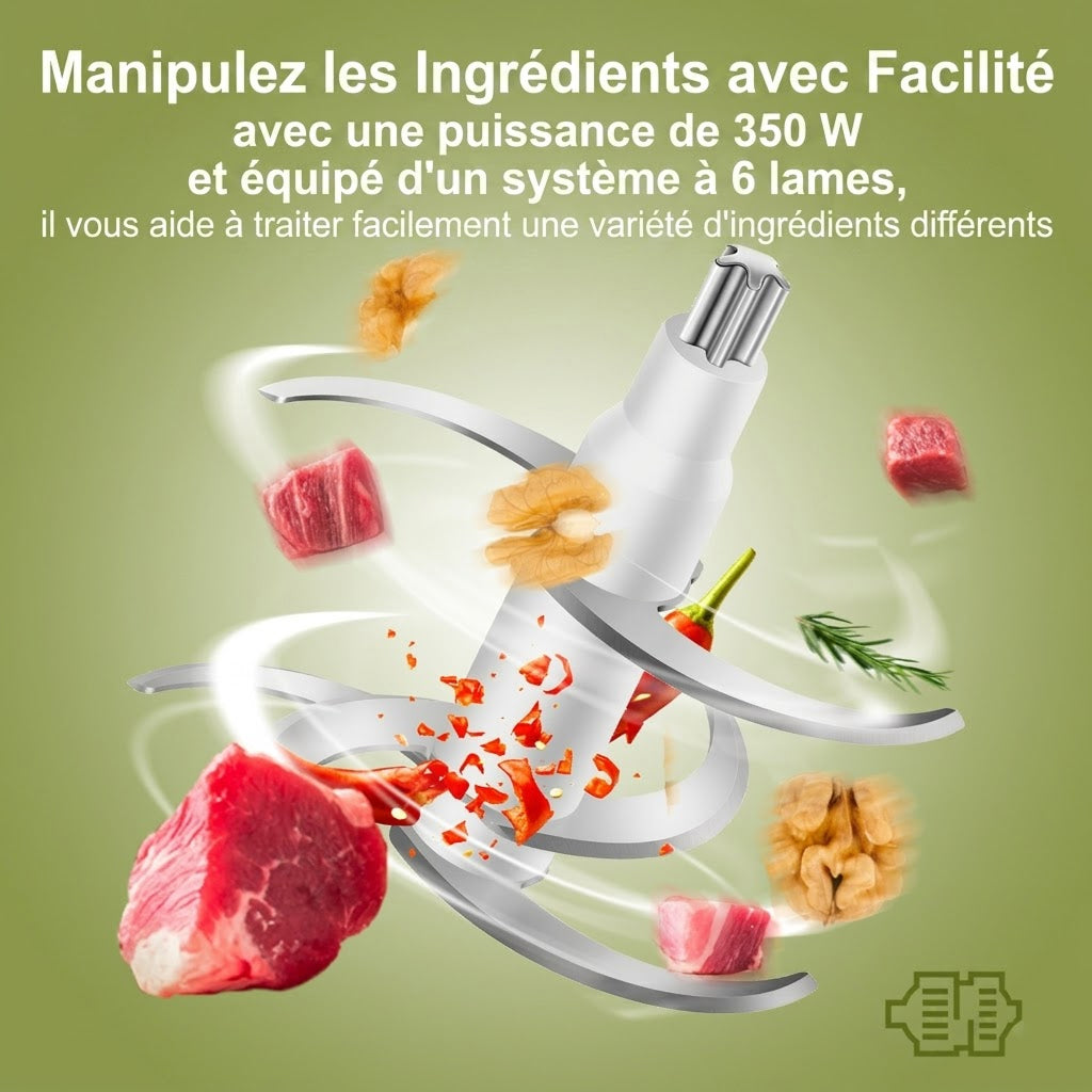 MeaviMax Hachoir à Viande Électrique 350W 600ml