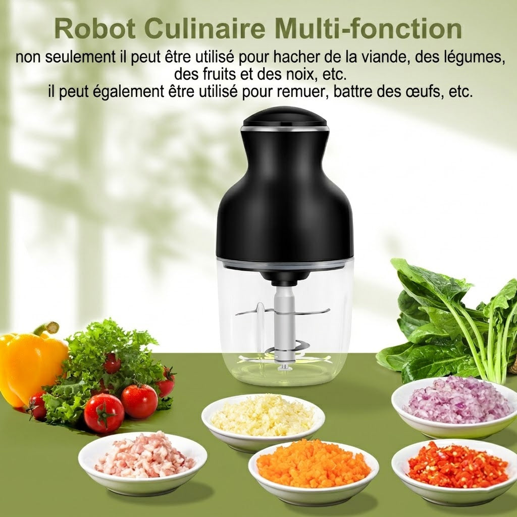 MeaviMax Hachoir à Viande Électrique 350W 600ml