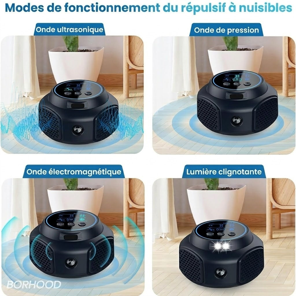 OsnaFem Couverture de 300 m² avec une configuration à quatre pavillons à 360°