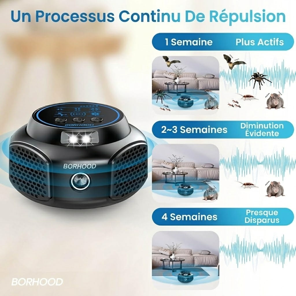 OsnaFem Couverture de 300 m² avec une configuration à quatre pavillons à 360°