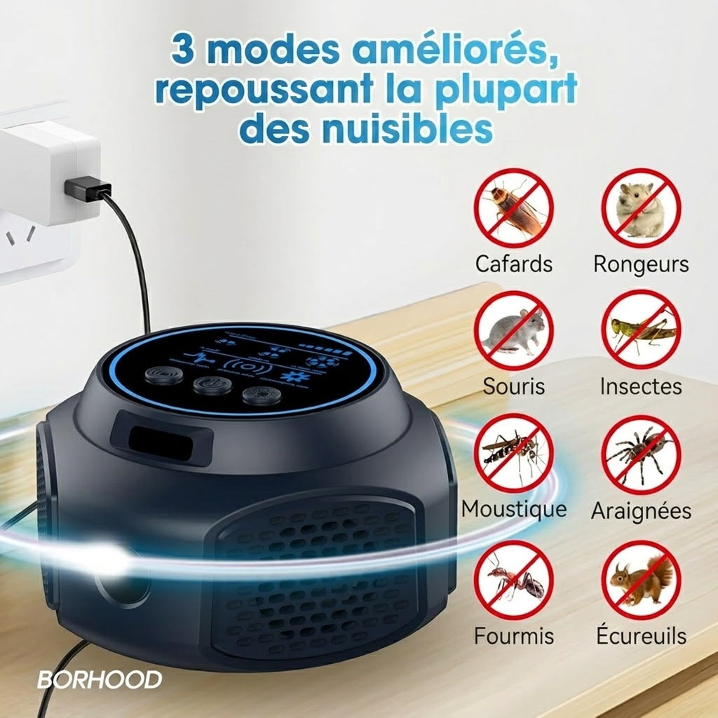 OsnaFem Couverture de 300 m² avec une configuration à quatre pavillons à 360°