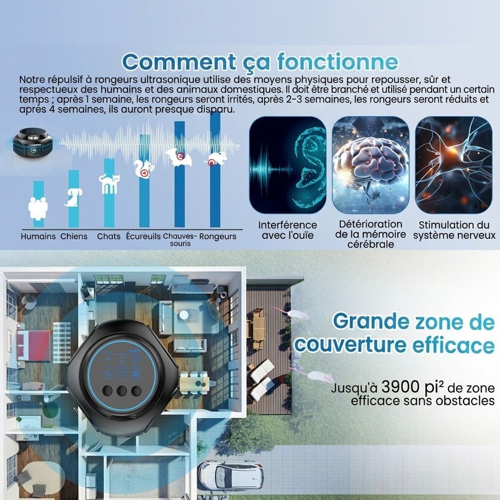 OsnaFem Couverture de 300 m² avec une configuration à quatre pavillons à 360°
