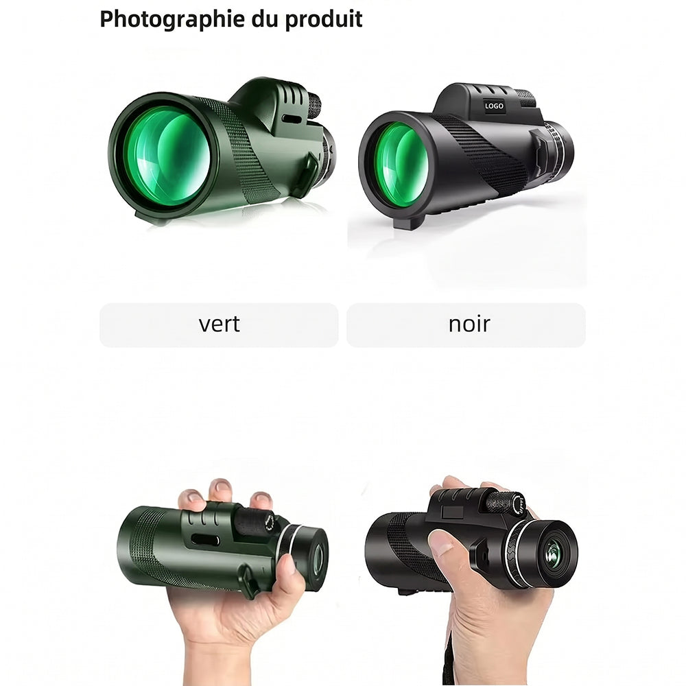 Patvère