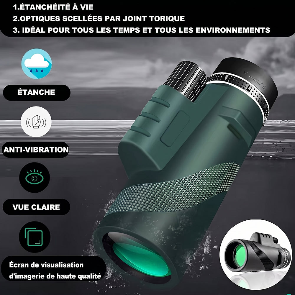 Patvère