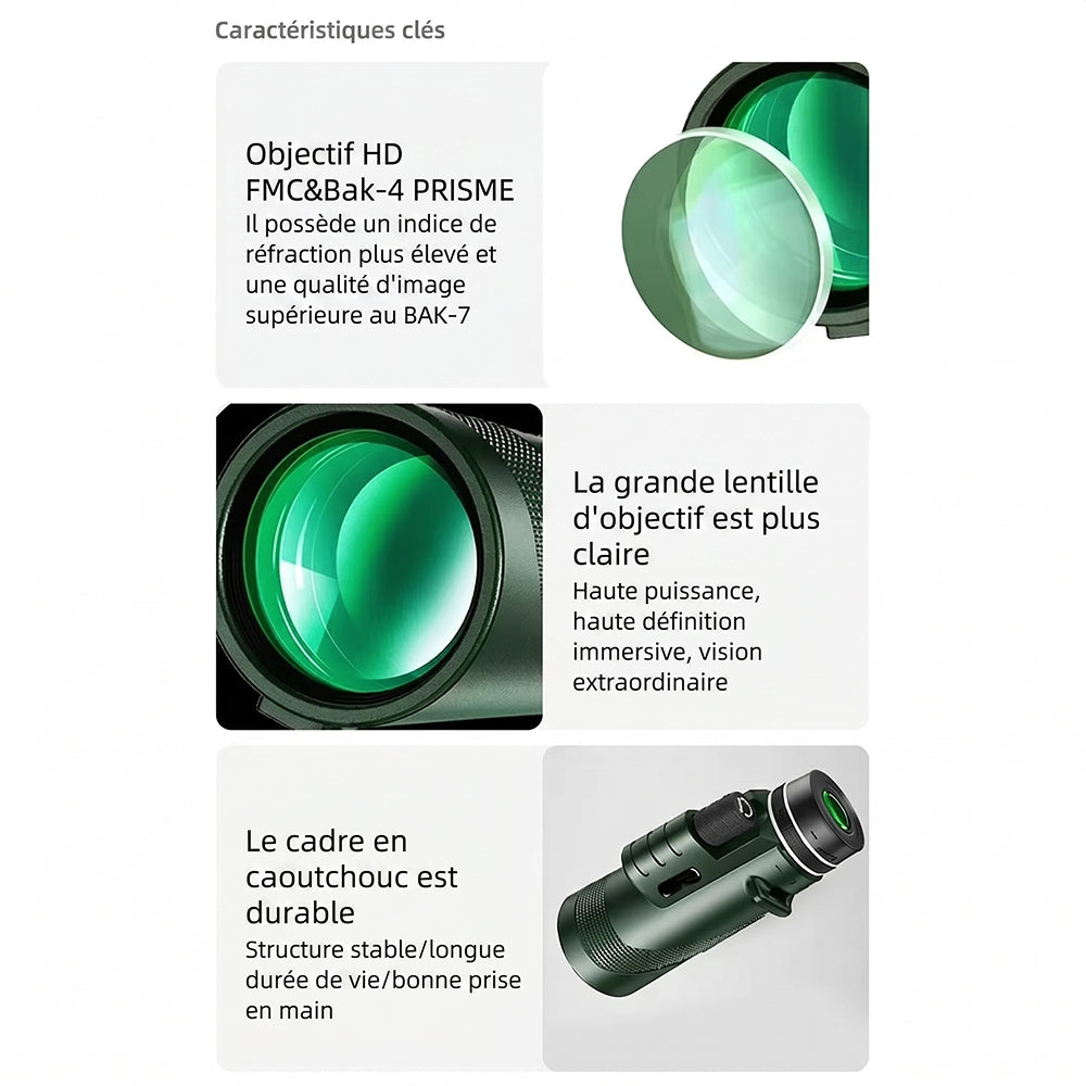 Patvère