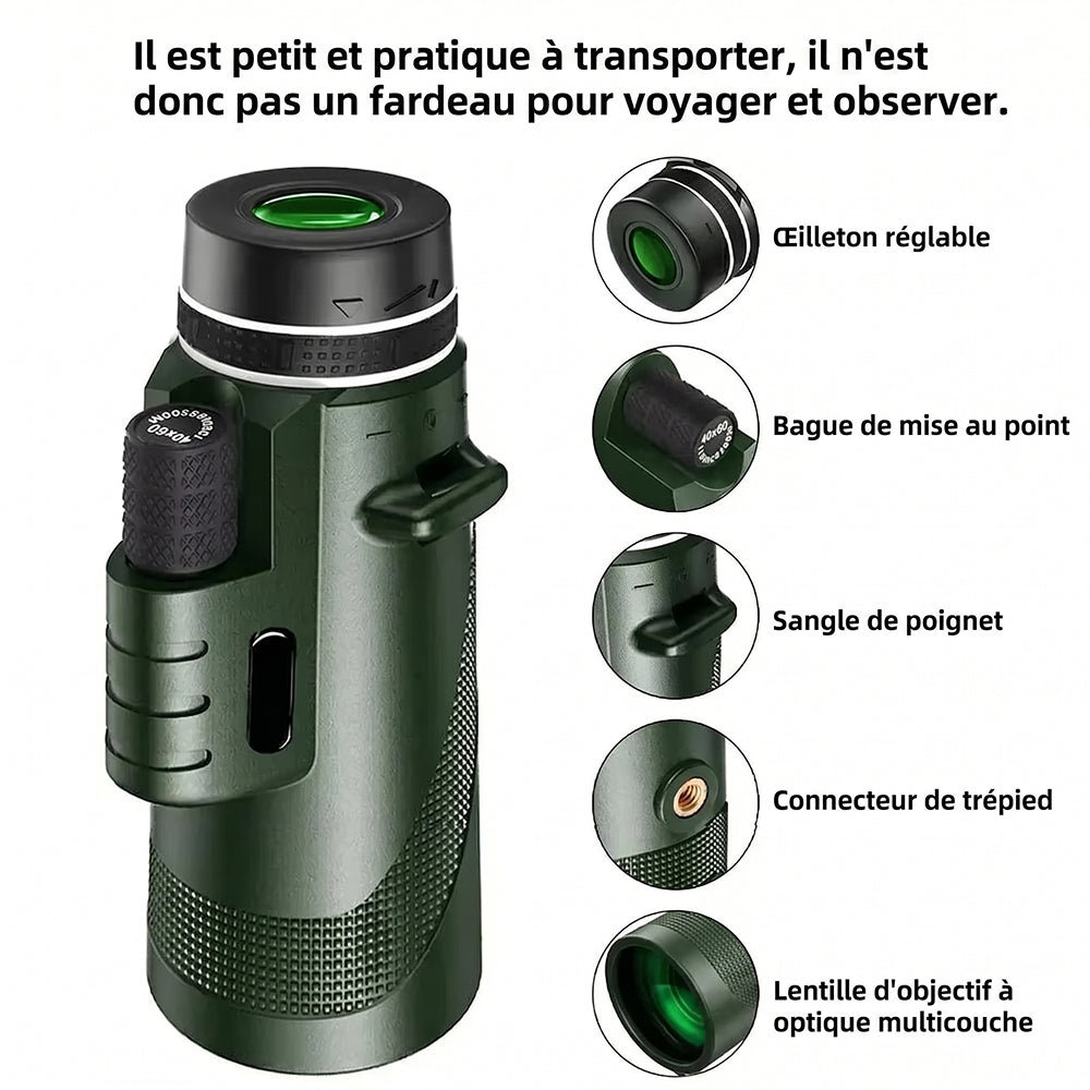 Patvère