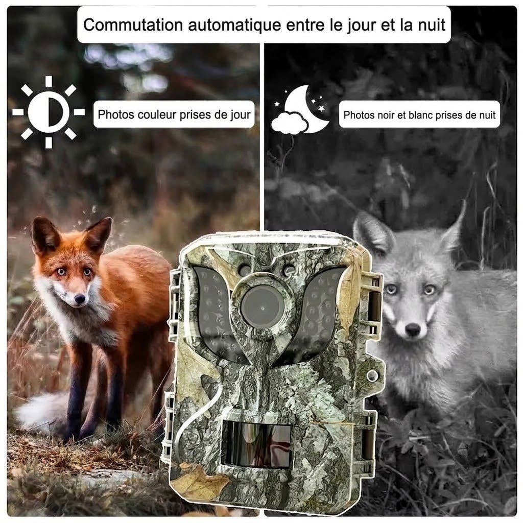 Caméra de Chasse Haute Définition - Piège Photographique Nocturne
