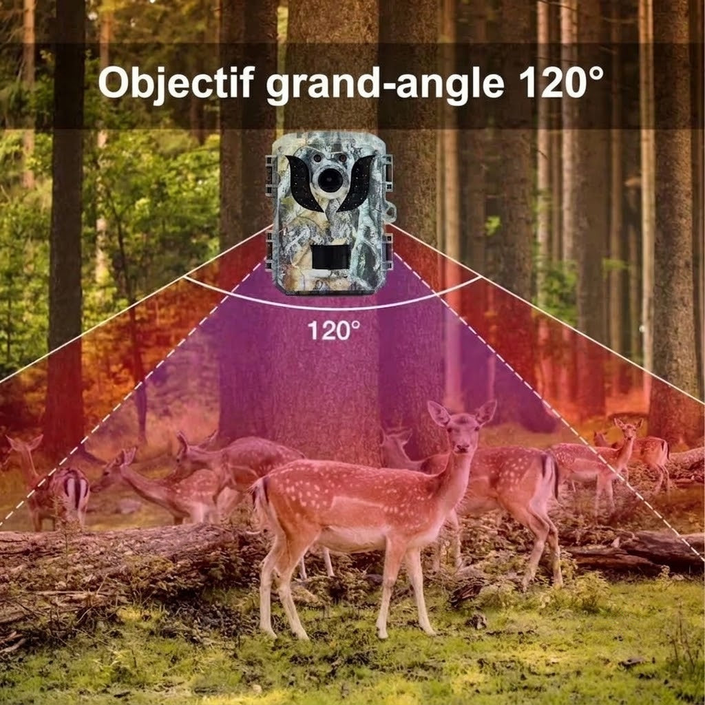Caméra de Chasse Haute Définition - Piège Photographique Nocturne