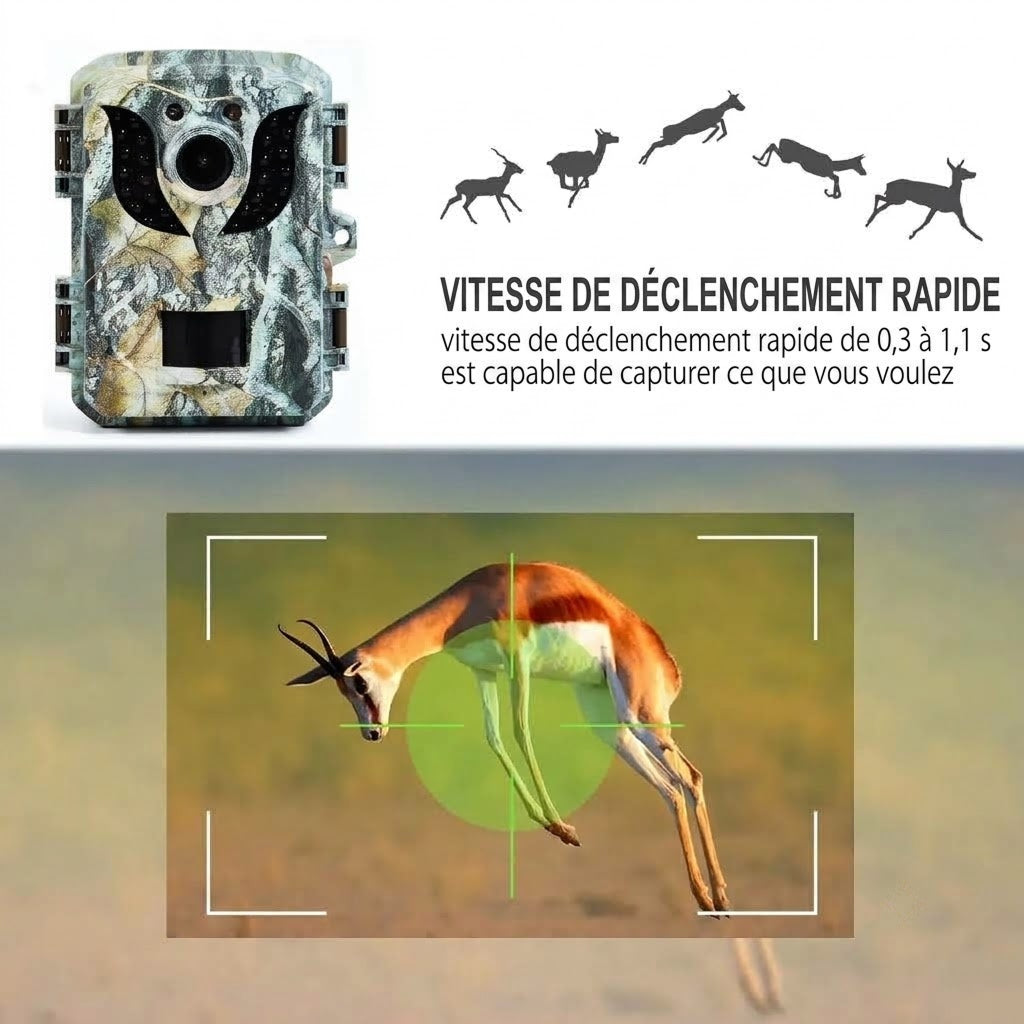 Caméra de Chasse Haute Définition - Piège Photographique Nocturne