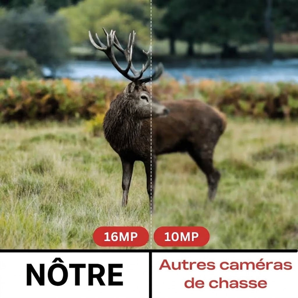 Caméra de Chasse Haute Définition - Piège Photographique Nocturne