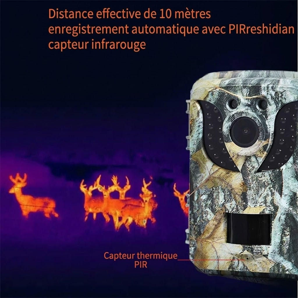 Caméra de Chasse Haute Définition - Piège Photographique Nocturne