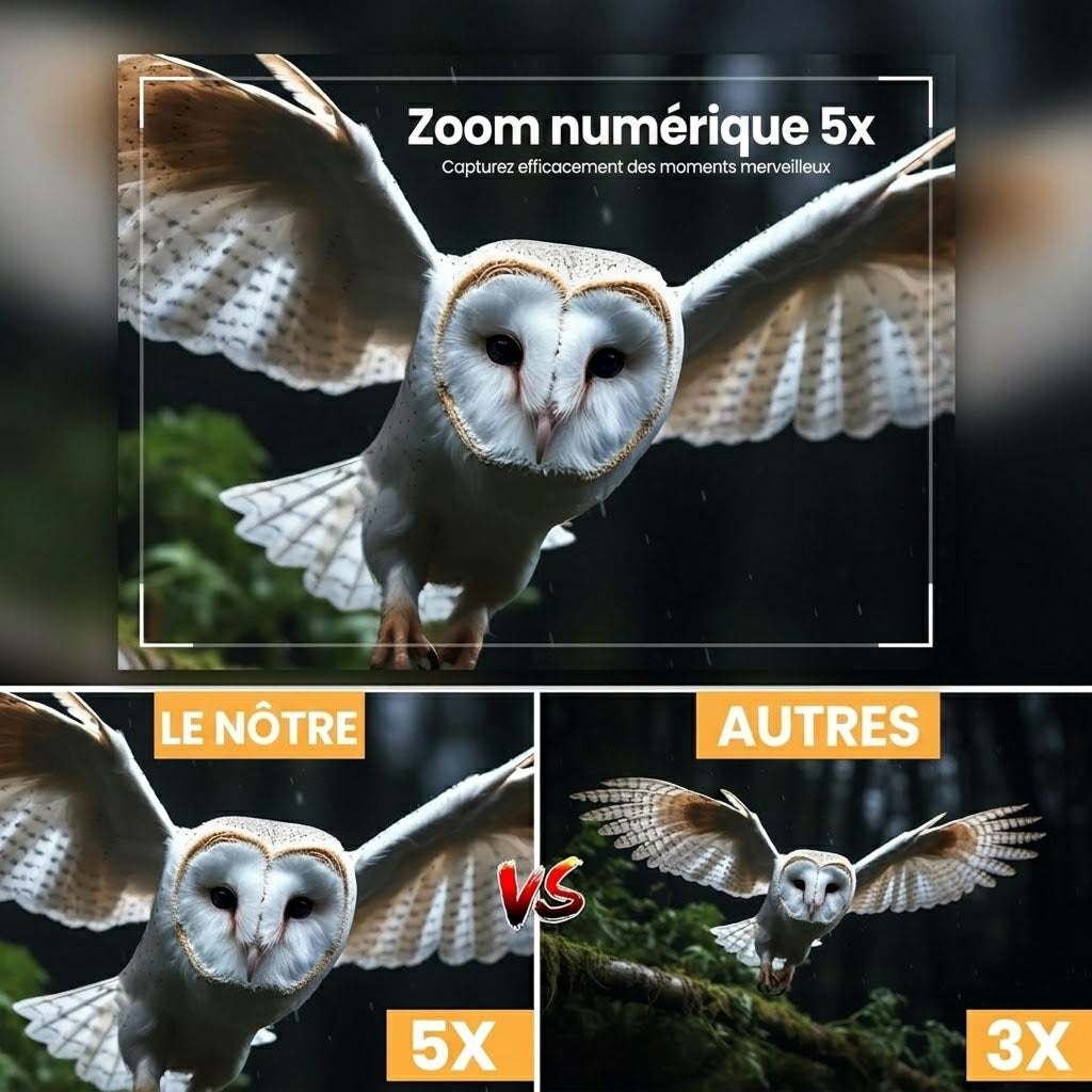 Tondréal